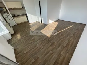 Pronájem bytu 1+kk, Plzeň - Doubravka, Nad Týncem, 28 m2