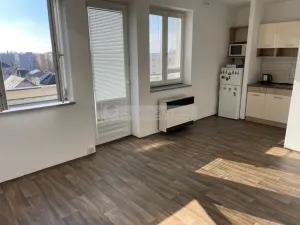 Pronájem bytu 1+kk, Plzeň - Doubravka, Nad Týncem, 28 m2