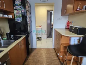 Pronájem bytu 3+1, Šumperk, Puškinova, 68 m2