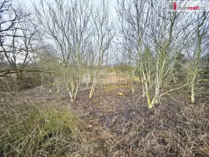 Prodej pole, Sulejovice, 1549 m2