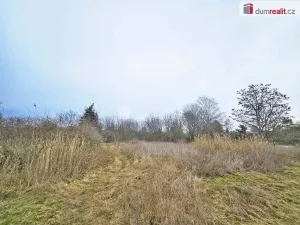 Prodej pole, Sulejovice, 1549 m2