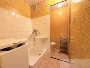 Prodej bytu 1+kk, Plzeň, Skupova, 20 m2