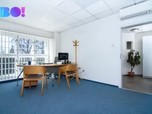 Pronájem obchodního prostoru, Frýdek-Místek - Frýdek, tř. T. G. Masaryka, 365 m2