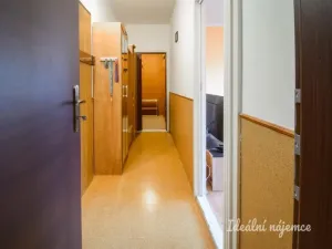 Pronájem bytu 2+1, Ostrava - Bělský Les, Dr. Šavrdy, 46 m2