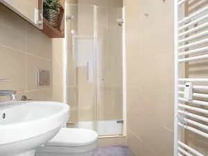 Pronájem bytu 1+kk, Brno, Cejl, 33 m2