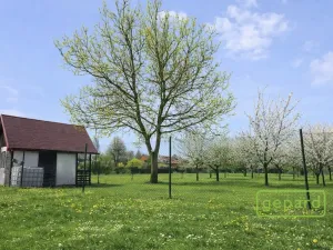 Prodej pozemku, Turovice, 878 m2