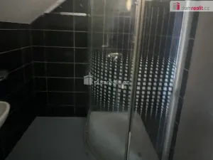 Pronájem atypického bytu, Praha, Zenklova, 17 m2