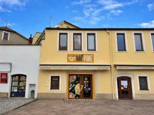 Pronájem obchodního prostoru, Olomouc, tř. Svobody, 55 m2