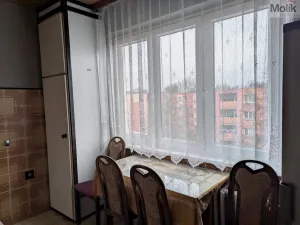 Pronájem bytu 2+1, Bílina - Teplické Předměstí, M. Švabinského, 55 m2