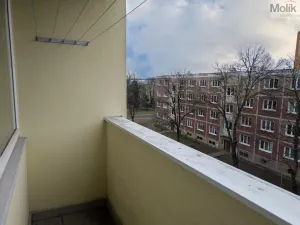 Pronájem bytu 2+1, Bílina - Teplické Předměstí, M. Švabinského, 55 m2