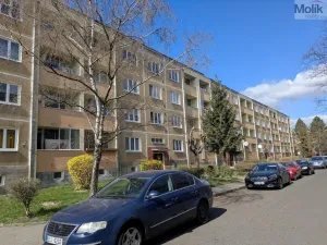 Pronájem bytu 2+1, Bílina - Teplické Předměstí, M. Švabinského, 55 m2