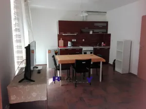 Pronájem bytu 1+kk, Žatec, Tyršova, 29 m2