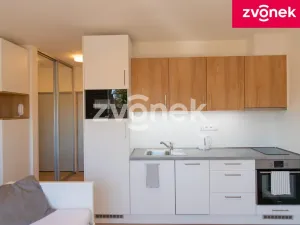Prodej bytu 1+kk, Zlín, Zálešná II, 31 m2