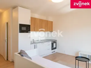 Prodej bytu 1+kk, Zlín, Zálešná II, 31 m2