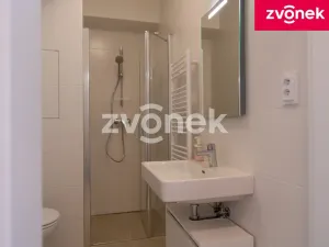Prodej bytu 1+kk, Zlín, Zálešná II, 31 m2