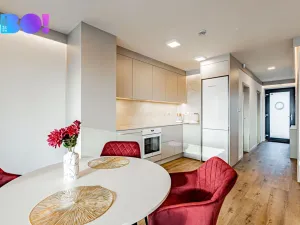 Pronájem bytu 2+kk, Soběšovice, 50 m2