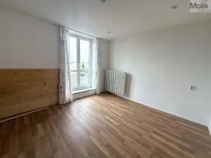 Pronájem bytu 1+kk, Most, Josefa Skupy, 20 m2