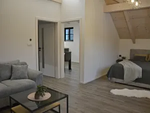 Pronájem bytu 1+1, Liberec, 44 m2