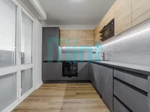 Pronájem bytu 1+1, Ostrava, Alšovo náměstí, 41 m2