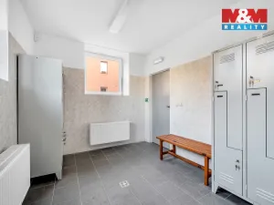 Pronájem obchodního prostoru, Červený Kostelec, Sokolská, 726 m2