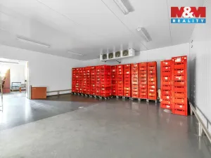 Pronájem obchodního prostoru, Červený Kostelec, Sokolská, 726 m2