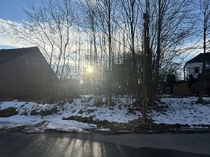 Prodej pozemku, Planá, 570 m2