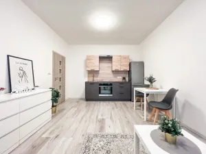 Pronájem bytu 1+kk, Milovice - Mladá, Slepá, 30 m2