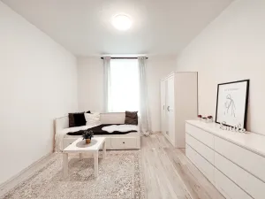 Pronájem bytu 1+kk, Milovice - Mladá, Slepá, 30 m2