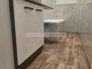 Pronájem bytu 1+1, Ostrava, Hilbertova, 54 m2