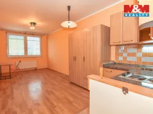 Prodej bytu 1+kk, Praha - Troja, Hnězdenská, 25 m2