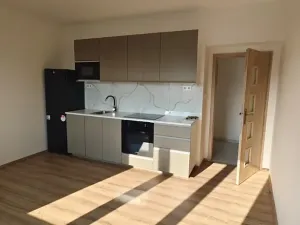 Pronájem bytu 2+kk, Praha - Žižkov, Basilejské náměstí, 48 m2