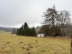 Prodej pozemku, Bublava, 954 m2