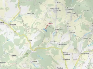 Dražba lesa, Janův Důl, 27787 m2