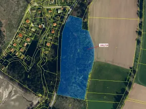 Dražba lesa, Cetoraz, 17171 m2