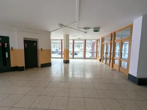 Pronájem bytu 1+kk, Litvínov, Koldům, 32 m2