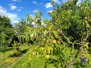 Prodej zahrady, Zlín - Malenovice, 581 m2