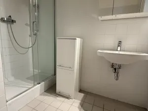 Pronájem bytu 1+kk, Brno - Královo Pole, Božetěchova, 42 m2