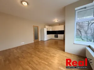 Pronájem bytu 1+kk, Brno - Královo Pole, Božetěchova, 42 m2