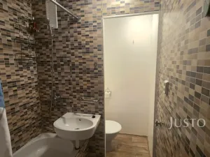 Pronájem bytu 1+kk, Písek, Dr. M. Horákové, 20 m2