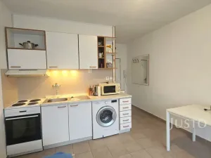 Pronájem bytu 1+kk, Písek, Dr. M. Horákové, 20 m2