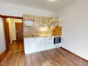 Pronájem bytu 1+kk, Beroun, U Archivu, 32 m2