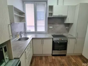 Pronájem bytu 2+1, Znojmo, Vítězslava Nováka, 46 m2