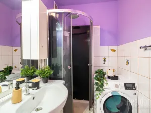 Prodej bytu 1+1, Mladošovice, 40 m2