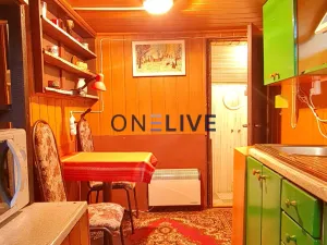 Prodej chaty, Bdeněves, 19 m2