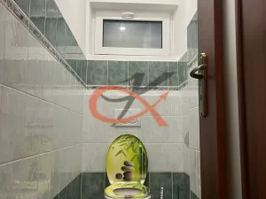 Prodej rodinného domu, Vlčková, 237 m2