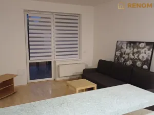 Pronájem bytu 1+kk, Olomouc - Nová Ulice, Okružní, 31 m2
