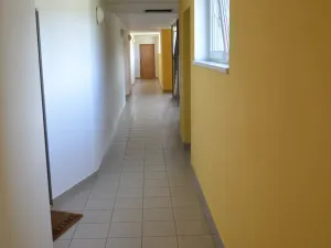 Pronájem bytu 1+kk, Olomouc - Nová Ulice, Okružní, 31 m2