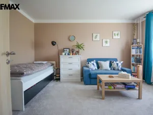 Prodej bytu 1+1, Hradec Králové - Moravské Předměstí, Štefánikova, 34 m2