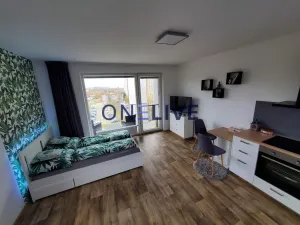 Pronájem bytu 1+kk, Plzeň, Na Chmelnicích, 35 m2