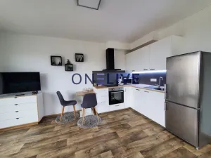 Pronájem bytu 1+kk, Plzeň, Na Chmelnicích, 35 m2